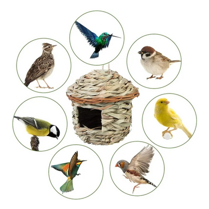 VanPet House for Small & Medium Birds -12x15cm