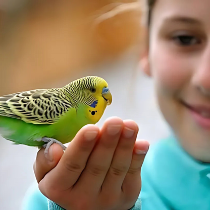 Volo Seedy Budgie Mix With Vitamin 1100g