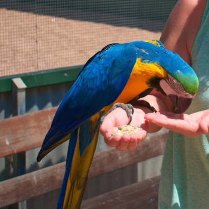 Volo Seedy Parrot Mix 420g