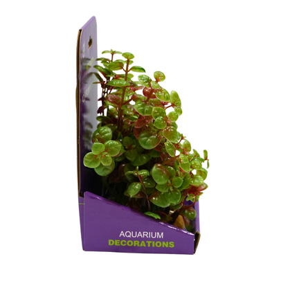 Yusee Plastick Aquarium Plant - Artificial Plant - YS-60103 (15cm)[Size - M]
